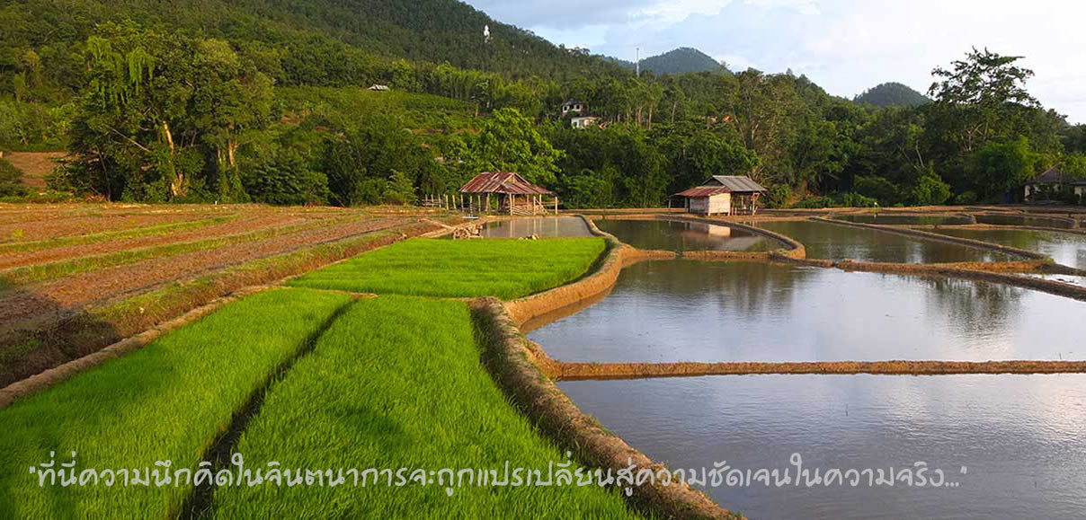 บ้านปายกลางนา