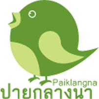 บ้านปายกลางนา