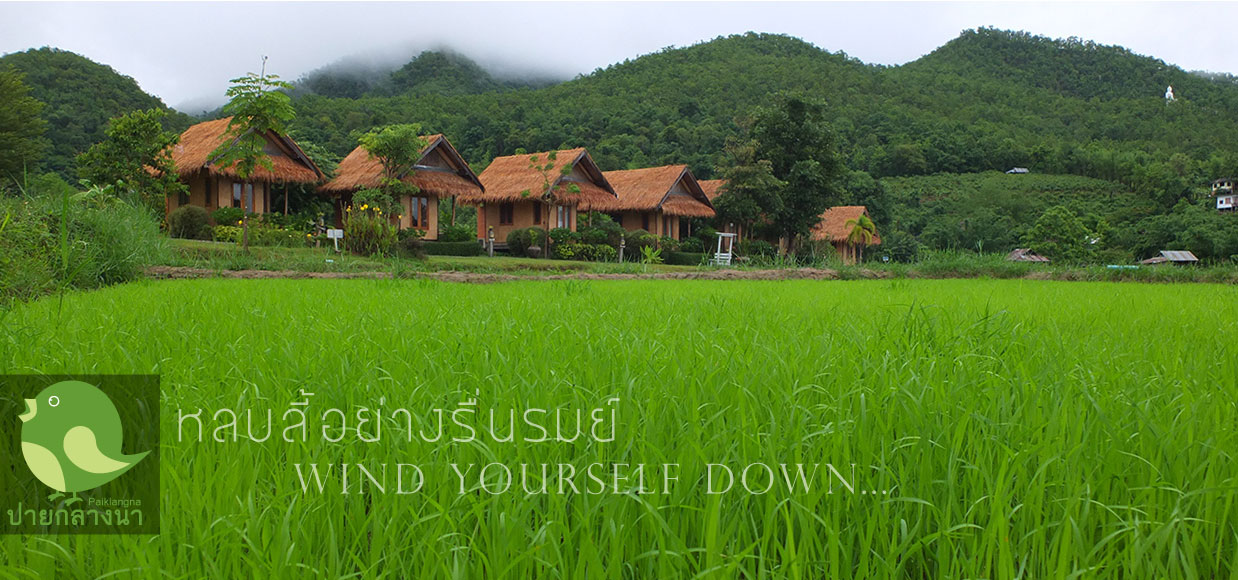 บ้านปายกลางนา